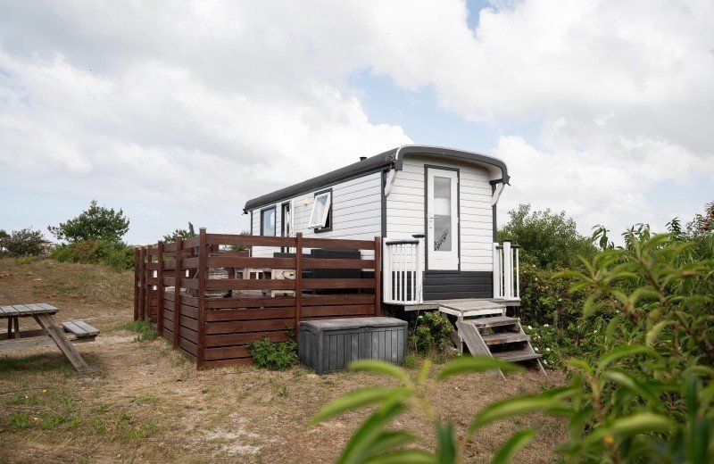 By quinty matakupan 17 1