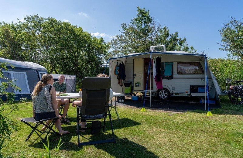 Dm de lepelaar comp 042