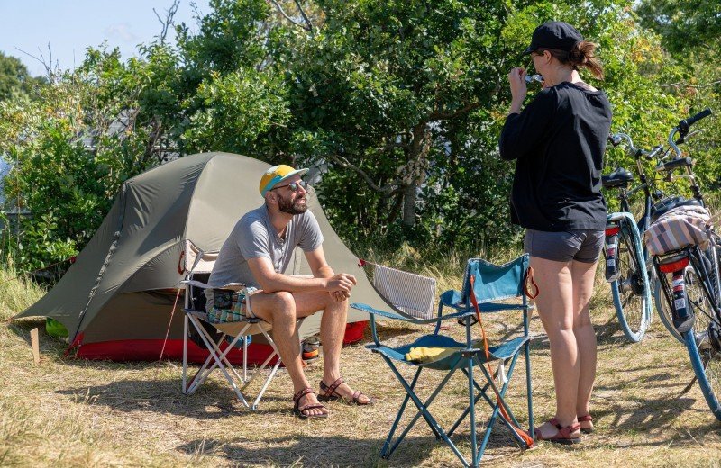 Dm de lepelaar comp 044