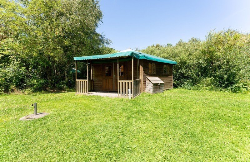 Dm de lepelaar comp 119