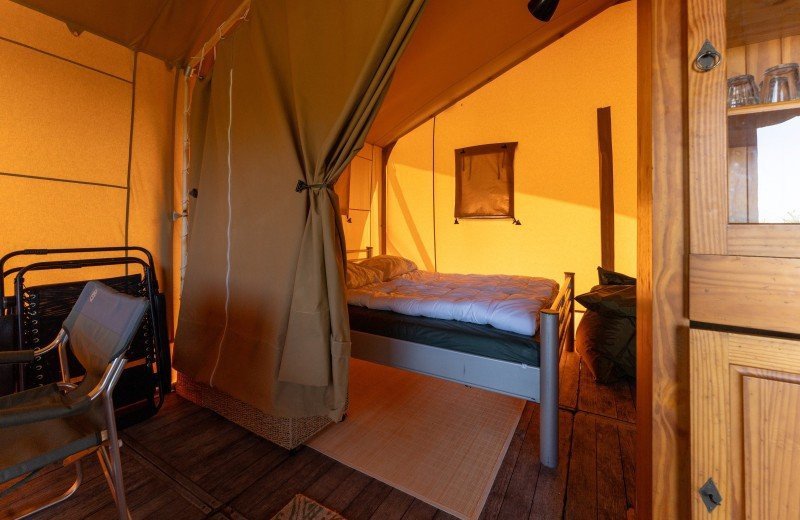 Dm de lepelaar comp 133