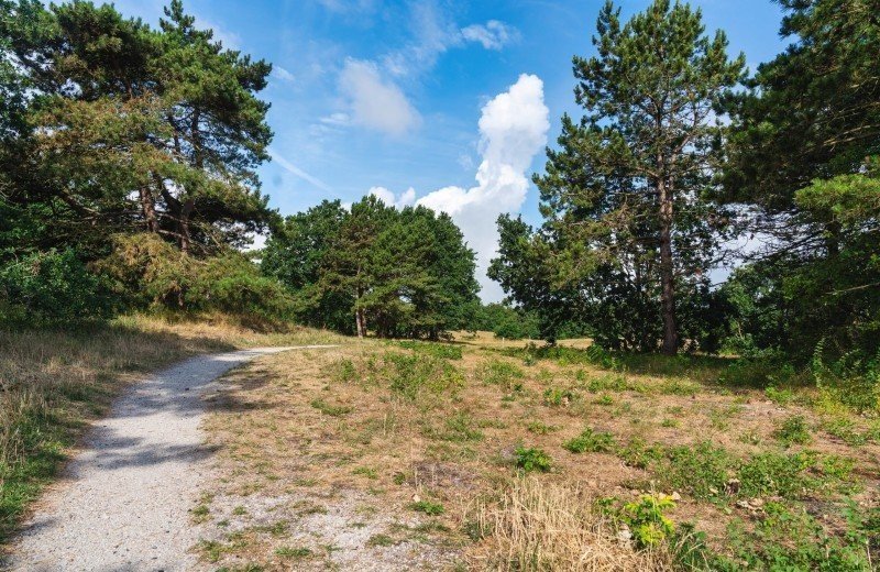 Natuurgebied Luttickduin