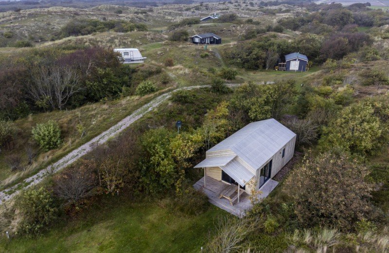 Ts21 haaks duindoorn 0035 65292dd6d7d96